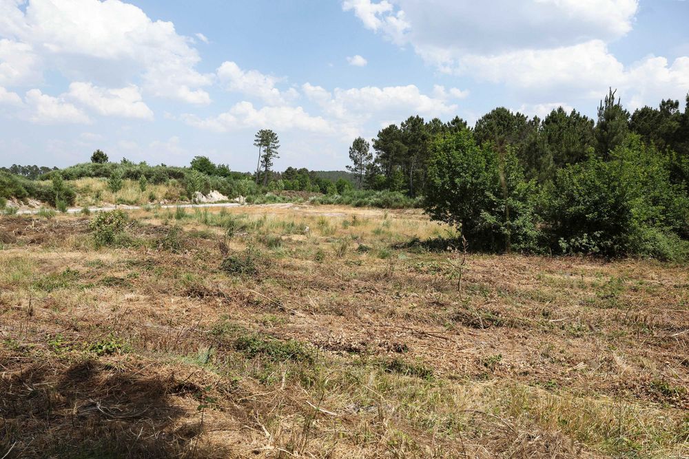OPORTUNIDADE ÚNICA! Terreno de 320m2 em Fernão Ferro