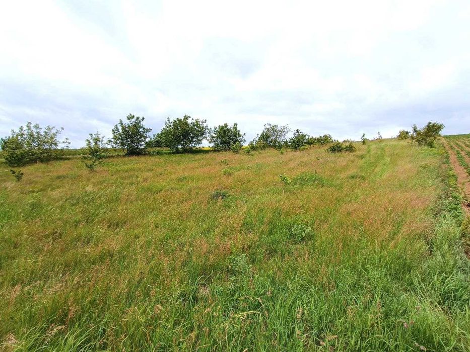 Продаж земельної  ділянки с. Обарів