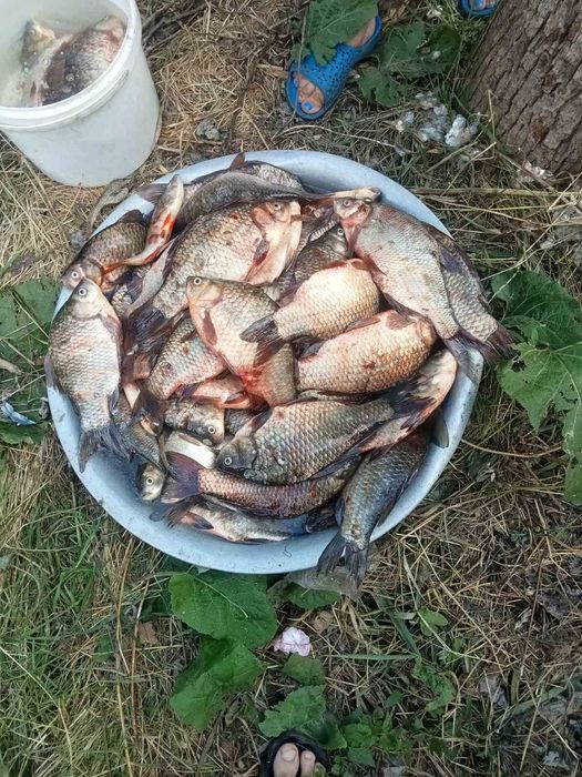 Відпочинок на природі. Банька на дровах! Житомирська обл.