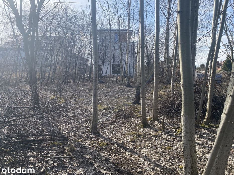 Sosnowiec Sielec Kukułek, działka budowlana - Widok 2