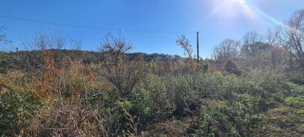 Продажа участка 20 соток Погребы Васильков Заречье без комиссии