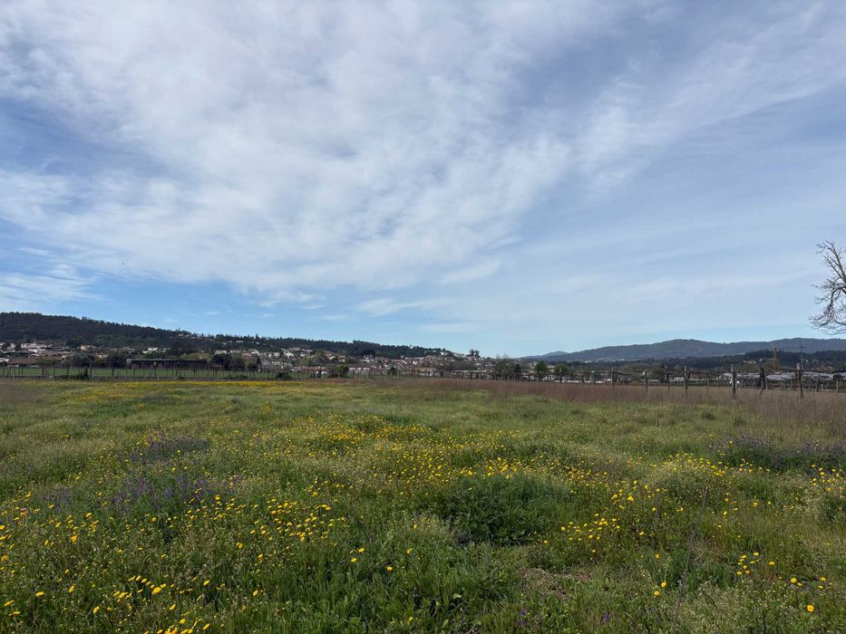 Quinta 67.000 m² | Braga (10 min do centro) | EN205