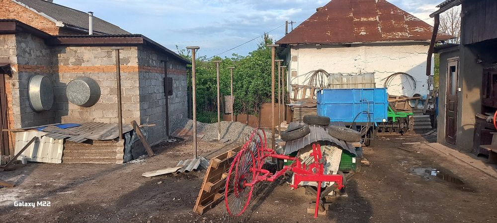 Грабарка - ворушилка сонечко