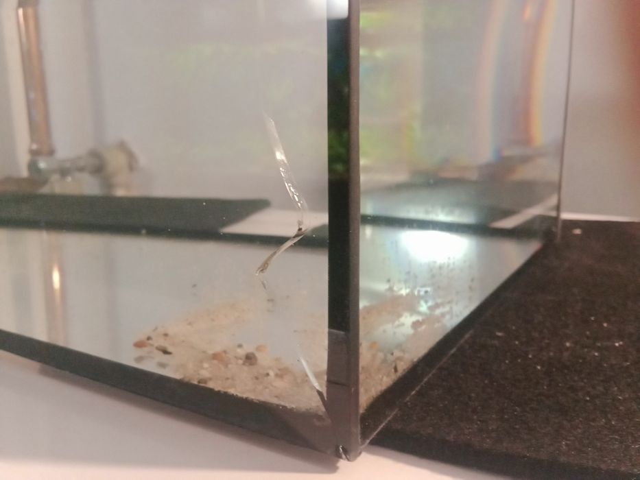 Akwarium terrarium, dla chomika