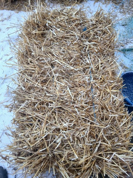 Продам солому...