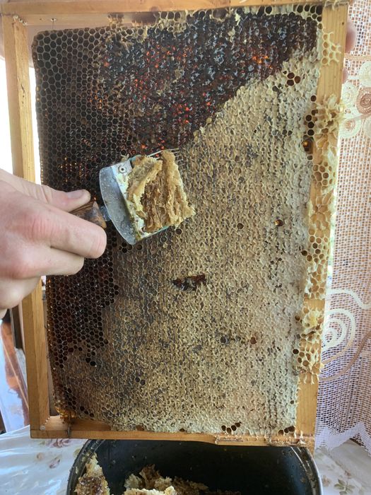 Продам мед карпатський 300грн