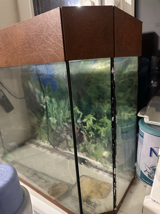 Аквариум / террариум ~90 л, фильтр, сачек 2 штуки, декоративный фон