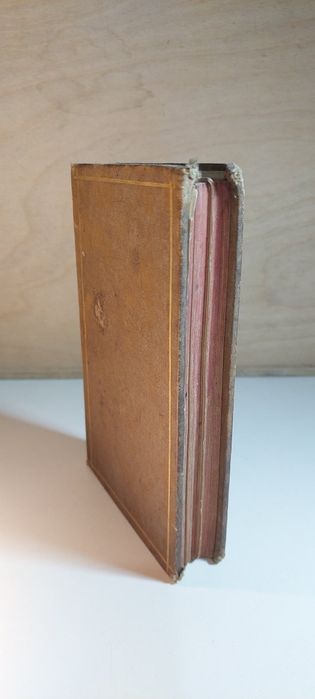 Sonetos e Rimas - Luiz Guimarães (1880)
