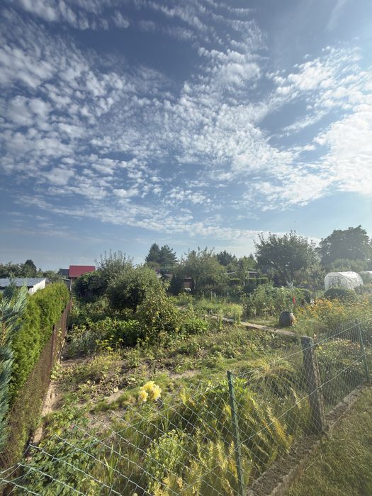 Urokliwa działka ROD 441 m² z domkiem i nasadzeniami | Stargard Ul Ròżana - Widok 5