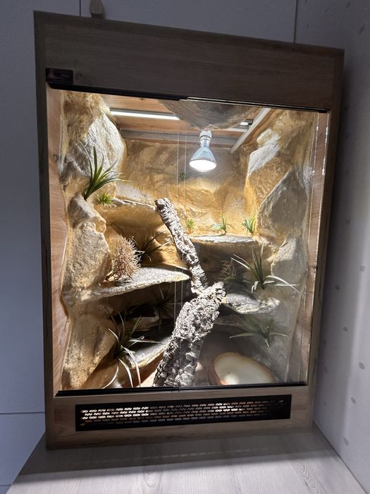 Duże terrarium 85 × 60 × 52,5 cm – kompletne wnętrze