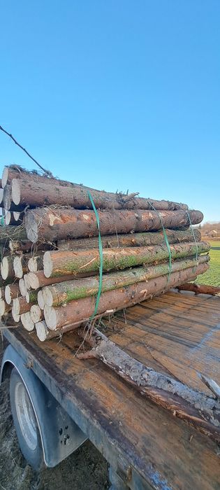 Drewno opałowe, świerkowe