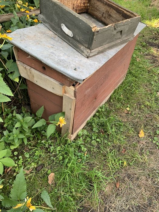 Продам ульи для пчёл, вулики