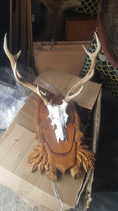 Рога оленя на медальйоні