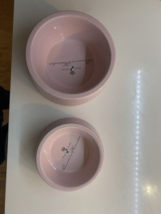 Pet kit acessórios para animais