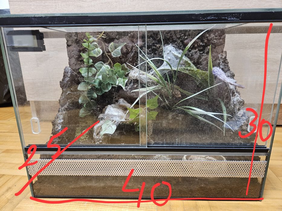 Terrarium 40x25x25