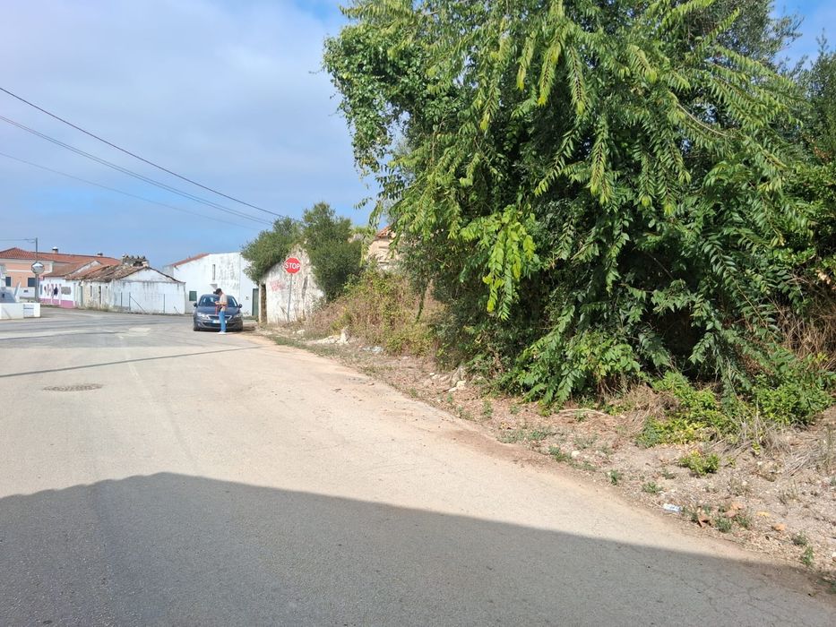 Casa de campo em ruína com terreno