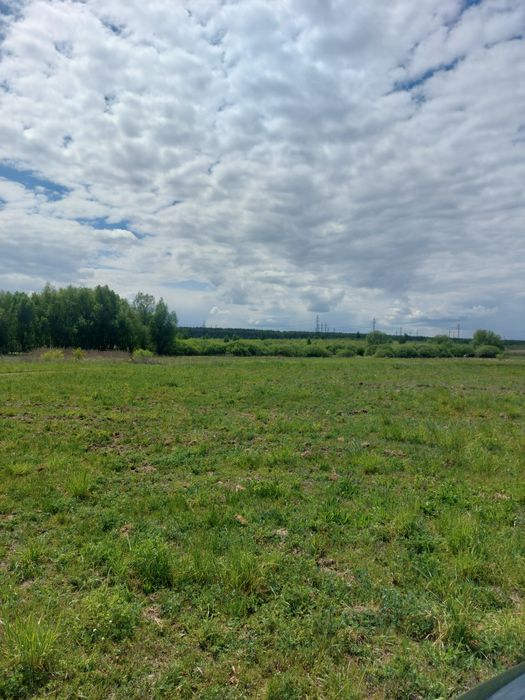 Продаж земельних ділянок в Нових Петрівцях.  Вишгородський р-н. - Bilde 3