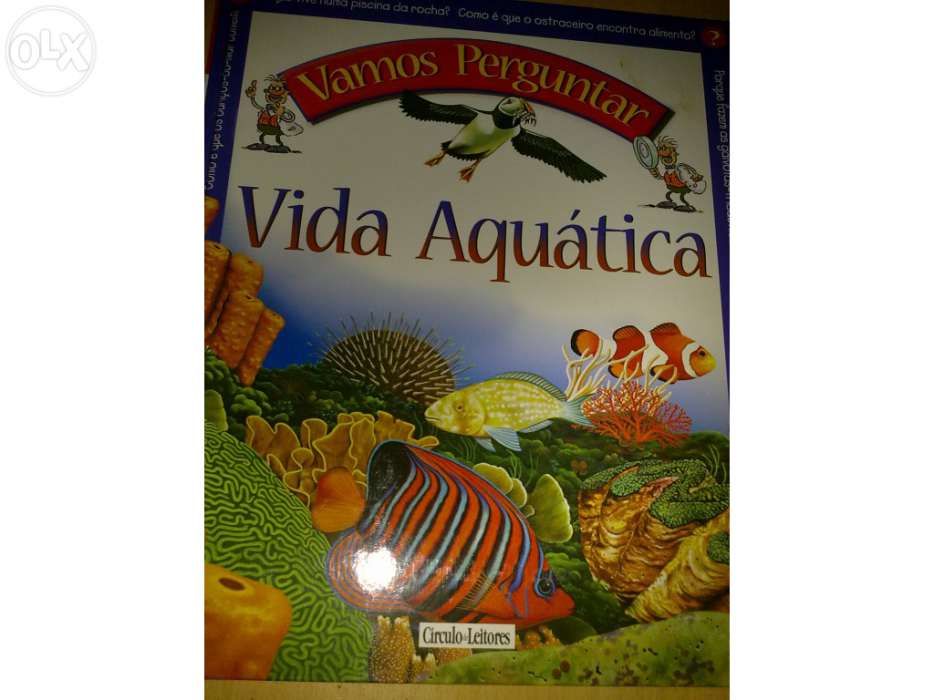 Coleção Vamos Perguntar 3 volumes