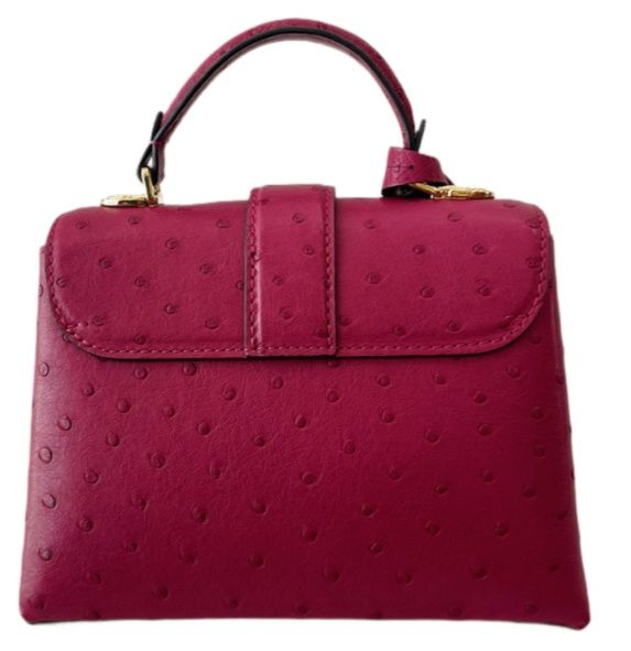 Louis Vuitton Rose Des Vents Micro - Edição Limitada