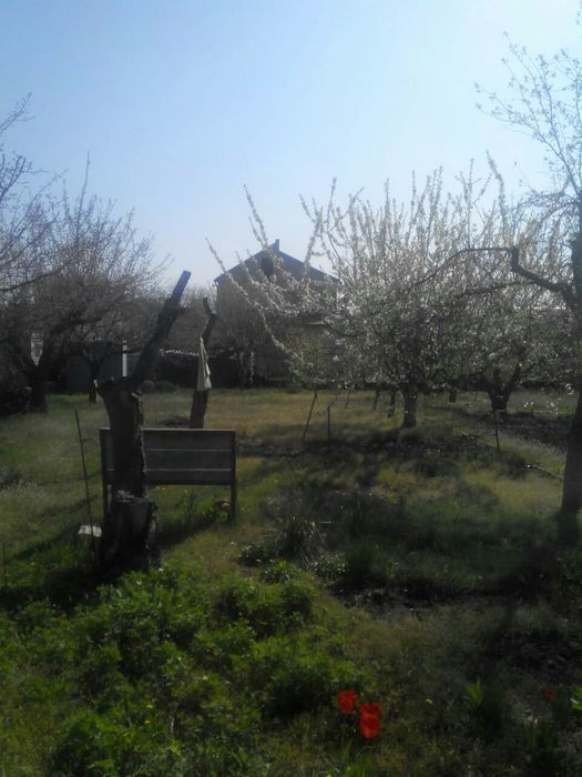 Продам земельный участок