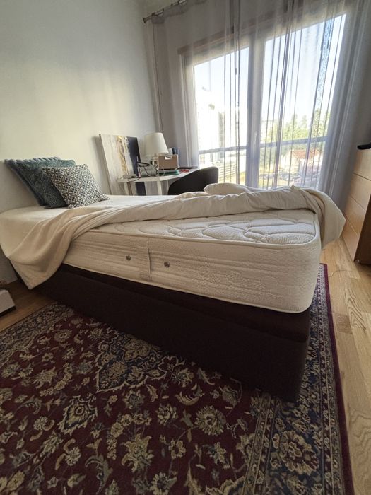 Cama Molaflex 90x200