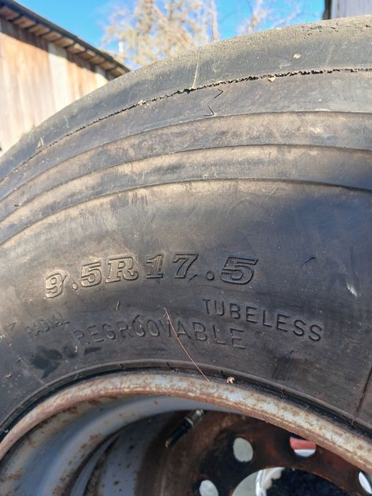 Диск з гумою для Вантажівки Dunlop 9.5R17.5