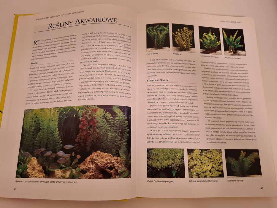 Ryby akwariowe Poradnik encyklopedyczny John A Dawes