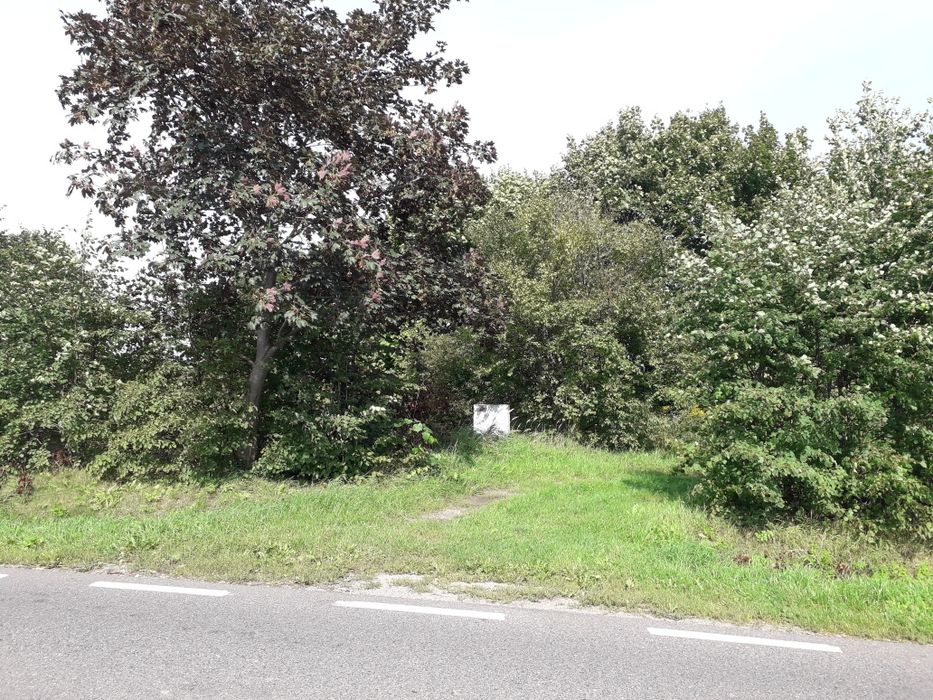 Mielno działka 1500 m² z W.Z - Widok 3