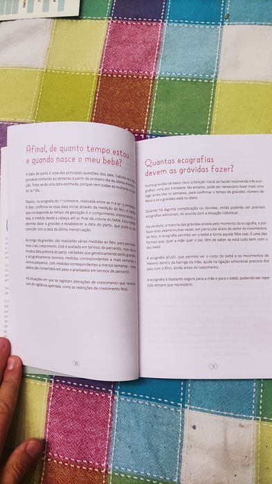 Livro Dias de uma Princesa Grávida