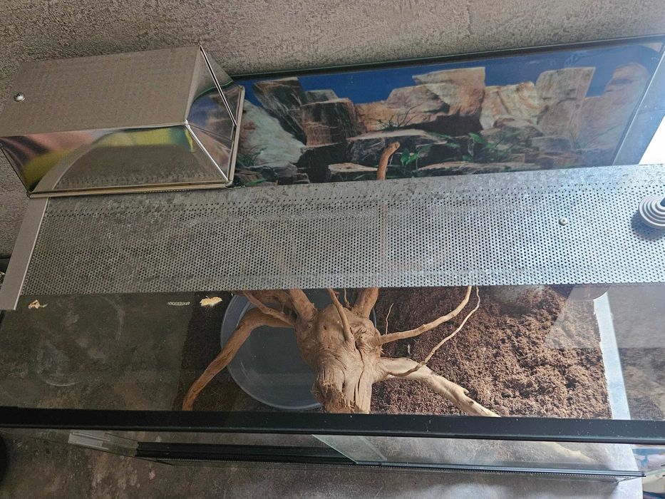 Тераріум в комплекті