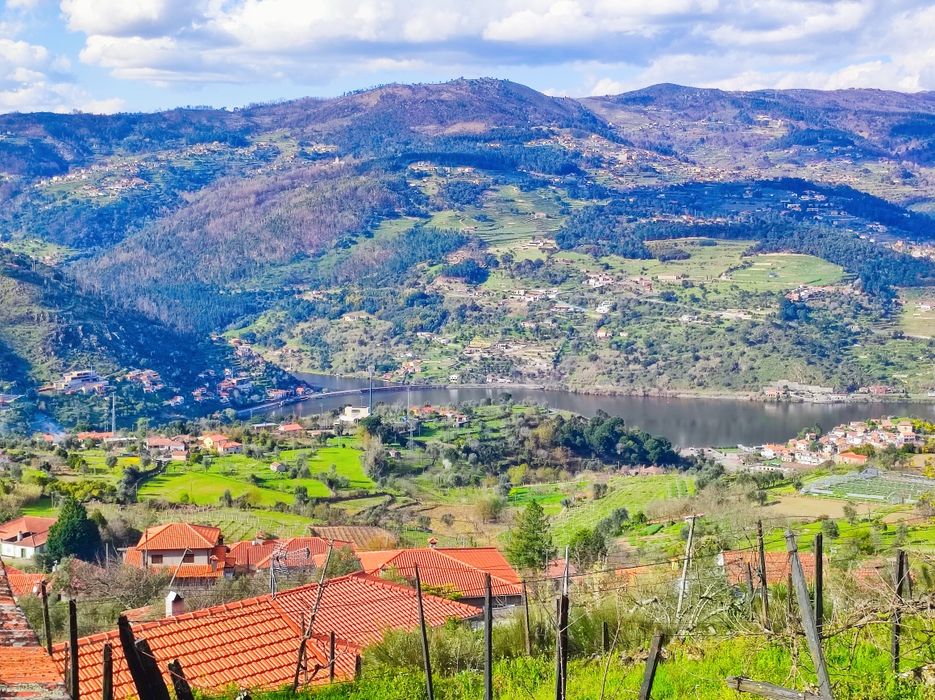Quinta 7400m2 em Resende com vista para Rio Douro