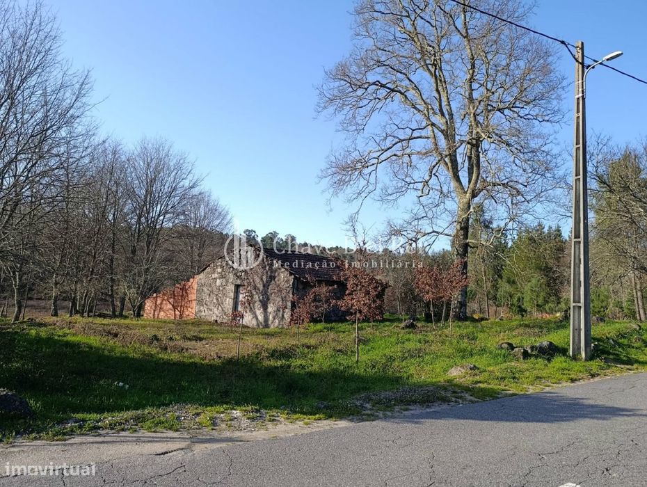 Terreno  Venda em Couto de Baixo e Couto de Cima,Viseu