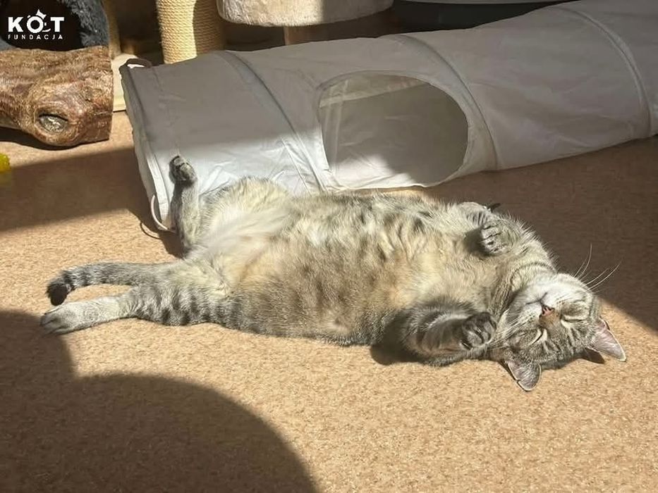 Plus size Jola szuka domu