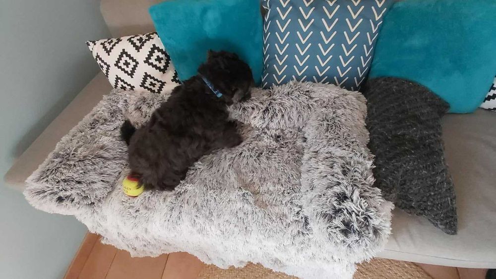 Legowisko dla psa kota na kanapę wygodne miękkie duże puszyste