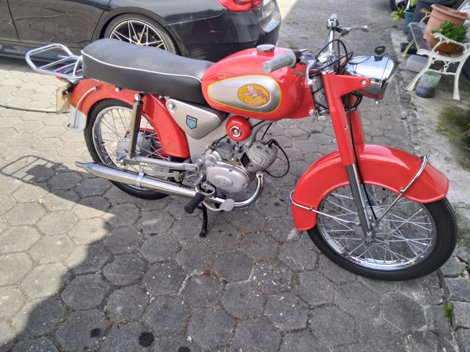 Sachs lebre 1972