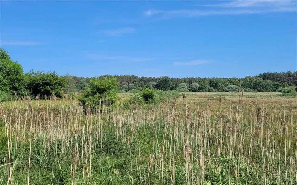 Działka rolna 3000m2 blisko morza