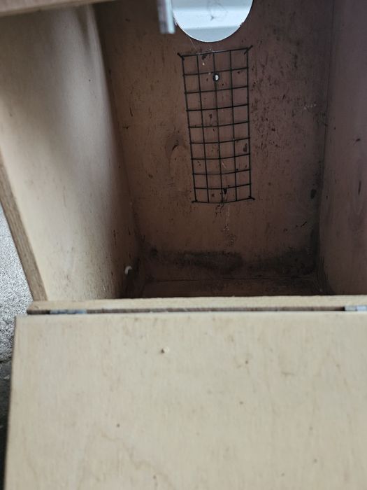 Gaiolas e ninhos ring neck