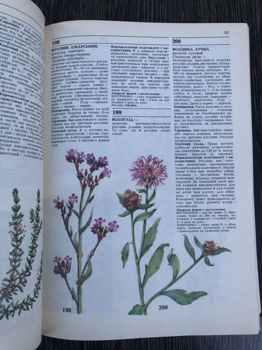 Лікарські рослини. Енциклопедичний довідник. А. Гродзінський.