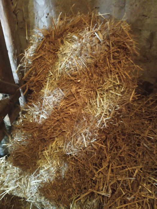 Продам сіно в тюках