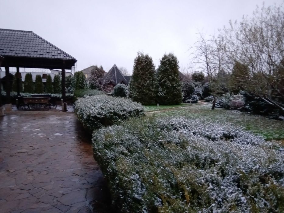 аренда дома посуточно