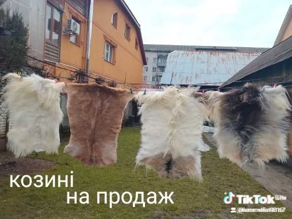 Для шиття і вичінені шкури