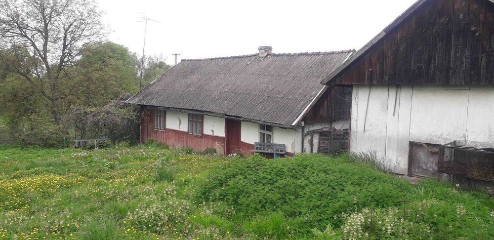 Старий будинок із земельною ділянкою 50 арів