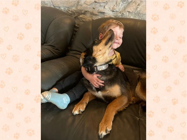 Cudowna, kochana suczka do adopcji, 2 lata,