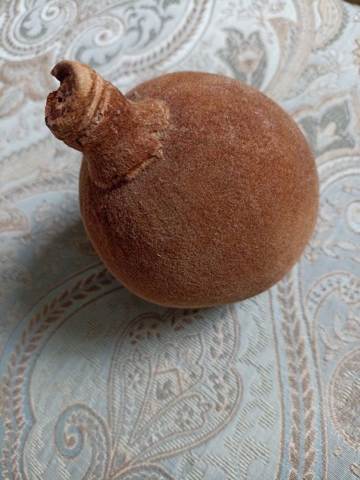 Madagaskar, owoc, baobab
