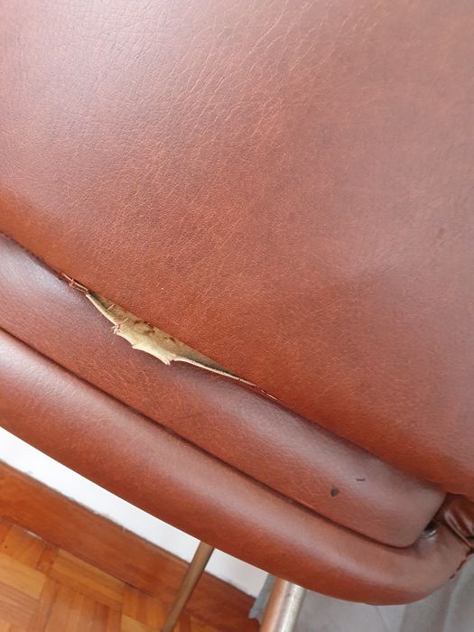 Cadeira antiga de napa