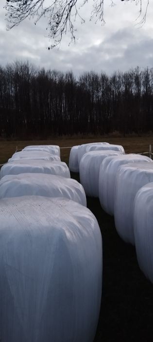 Baloty sianokiszonka 2025