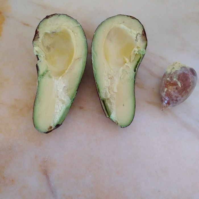 Vendo abacates   da arvore