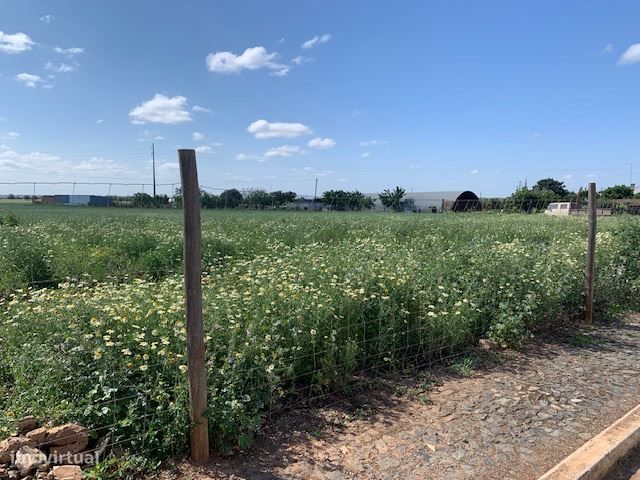 Loteamento moradias, para venda, Beja - Salvada e Quintos