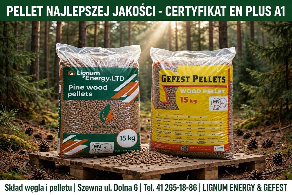 pellet SOLID dpp węgiel olczyk dankros