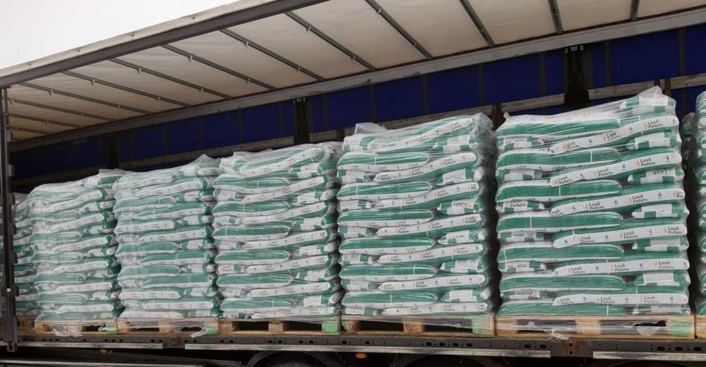 Pellet drzewny Plus A1, 6mm,